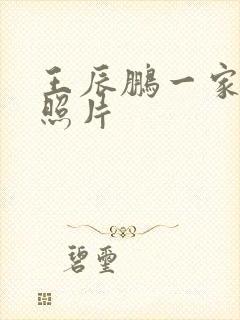 王辰鹏一家三口照片