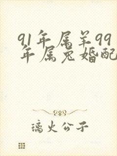 91年属羊99年属兔婚配怎么样封面