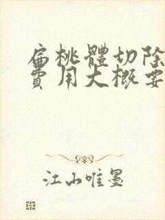 扁桃体切除手术费用大概要多少