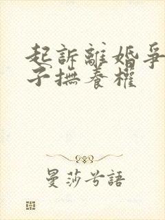 起诉离婚争夺孩子抚养权