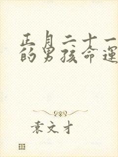 正月二十一出生的男孩命运封面