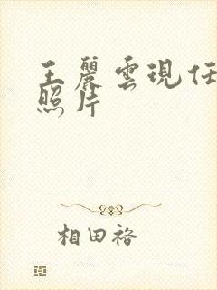 王丽云现任老公照片