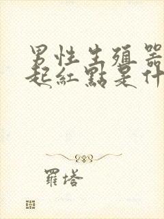 男性生殖器瘙痒起红点是什么原因