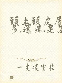 头上头皮屑非常多,还痒,是怎么回事