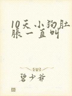 10天小狗肚子胀一直叫