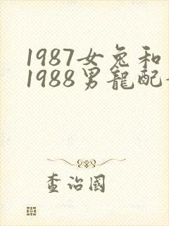 1987女兔和1988男龙配婚姻好不好