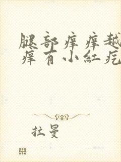 腿部痒痒越抓越痒有小红疙瘩