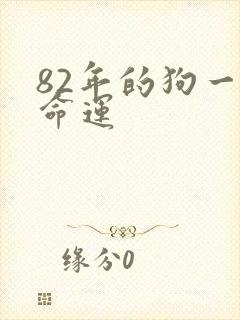 82年的狗一生命运封面