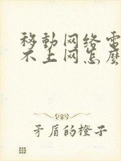 移动网络电脑连不上网怎么办封面