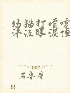 幼猫打喷嚏流鼻涕流眼泪但是很精神