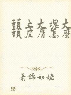 头上大块大块的头皮屑怎么回事