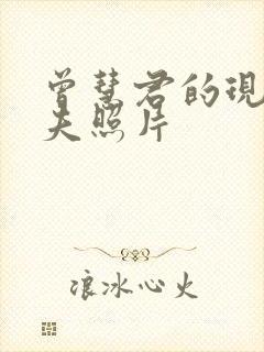 曾慧君的现任丈夫照片