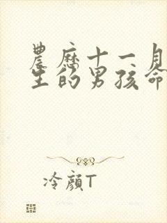 农历十一月十五生的男孩命运