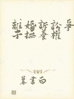 离婚诉讼争取孩子抚养权