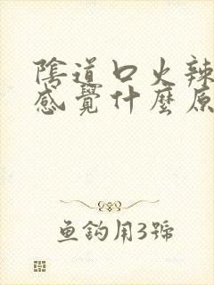 阴道口火辣辣的感觉什么原因