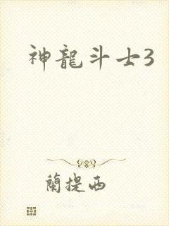 神龙斗士3