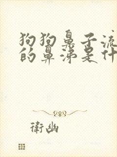 狗狗鼻子流黄色的鼻涕是什么原因