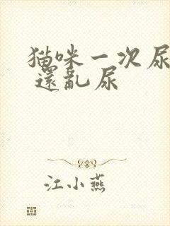 猫咪一次尿一点 还乱尿