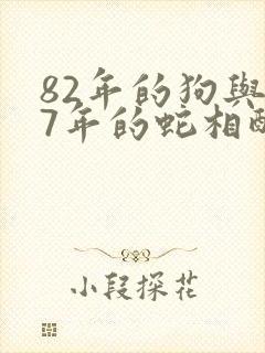 82年的狗与77年的蛇相配吗封面