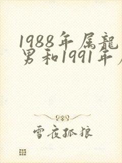 1988年属龙男和1991年属羊女