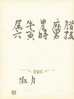 属牛农历腊月十六寅时男孩命运