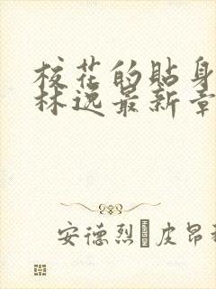 校花的贴身高手林逸最新章节