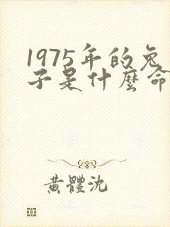 1975年的兔子是什么命,五行属性