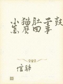 小猫肚子鼓胀是怎么回事