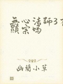 无心法师3有张显宗吗封面