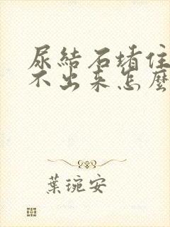 尿结石堵住了尿不出来怎么办