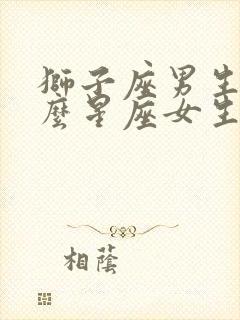 狮子座男生和什么星座女生合适