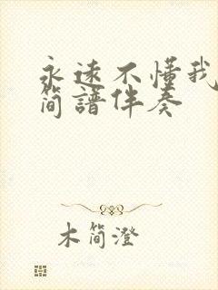 永远不懂我动态简谱伴奏