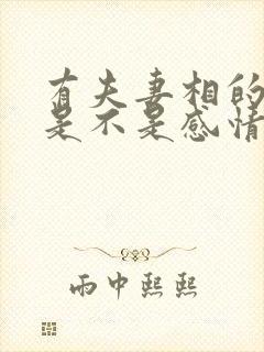 有夫妻相的夫妻是不是感情都很好