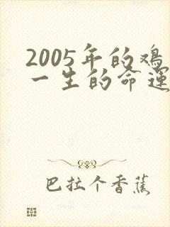 2005年的鸡一生的命运如何