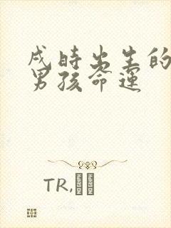 戌时出生的属狗男孩命运