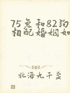 75兔和82狗相配婚姻如何