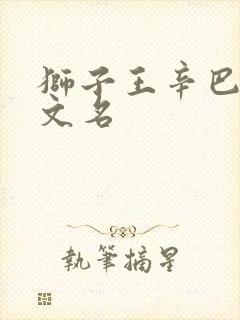 狮子王辛巴的英文名