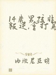 14岁男孩非常叛逆,会打骂母亲