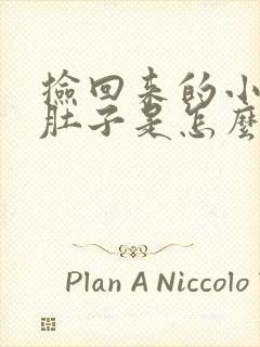 捡回来的小猫拉肚子是怎么回事呀封面