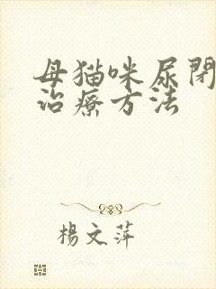 母猫咪尿闭最佳治疗方法