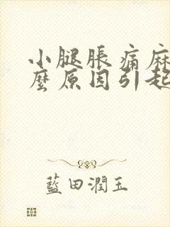 小腿胀痛麻是什么原因引起的