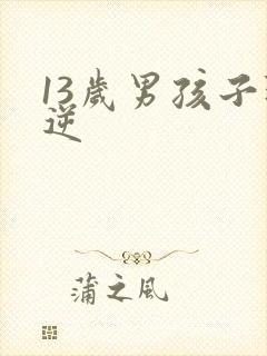 13岁男孩子叛逆封面