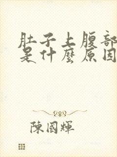 肚子上腹部疼痛是什么原因