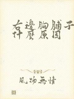 右边胸脯子疼是什么原因