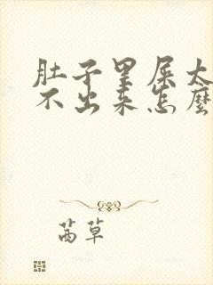 肚子里屎太多拉不出来怎么办?