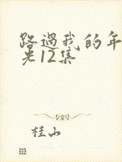 路过我的年少时光12集