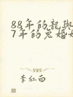 88年的龙与87年的兔婚姻