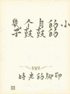 几个月的小猫肚子鼓鼓的封面