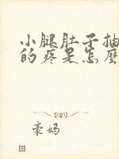 小腿肚子抽筋似的疼是怎么回事