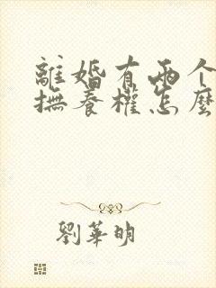 离婚有两个小孩抚养权怎么判定